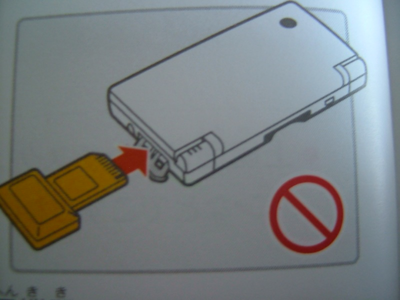 Illustration for article titled Hey Dummy, Don't Microwave The DSi (And Other Nintendo Tips)